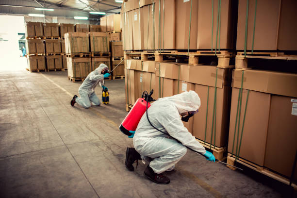 Best Affordable Pest Control Services  in Lake Holiday, VA