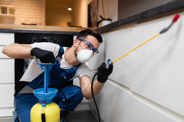 Best Pest Control for Businesses  in Lake Holiday, VA